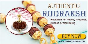 Rudraksha